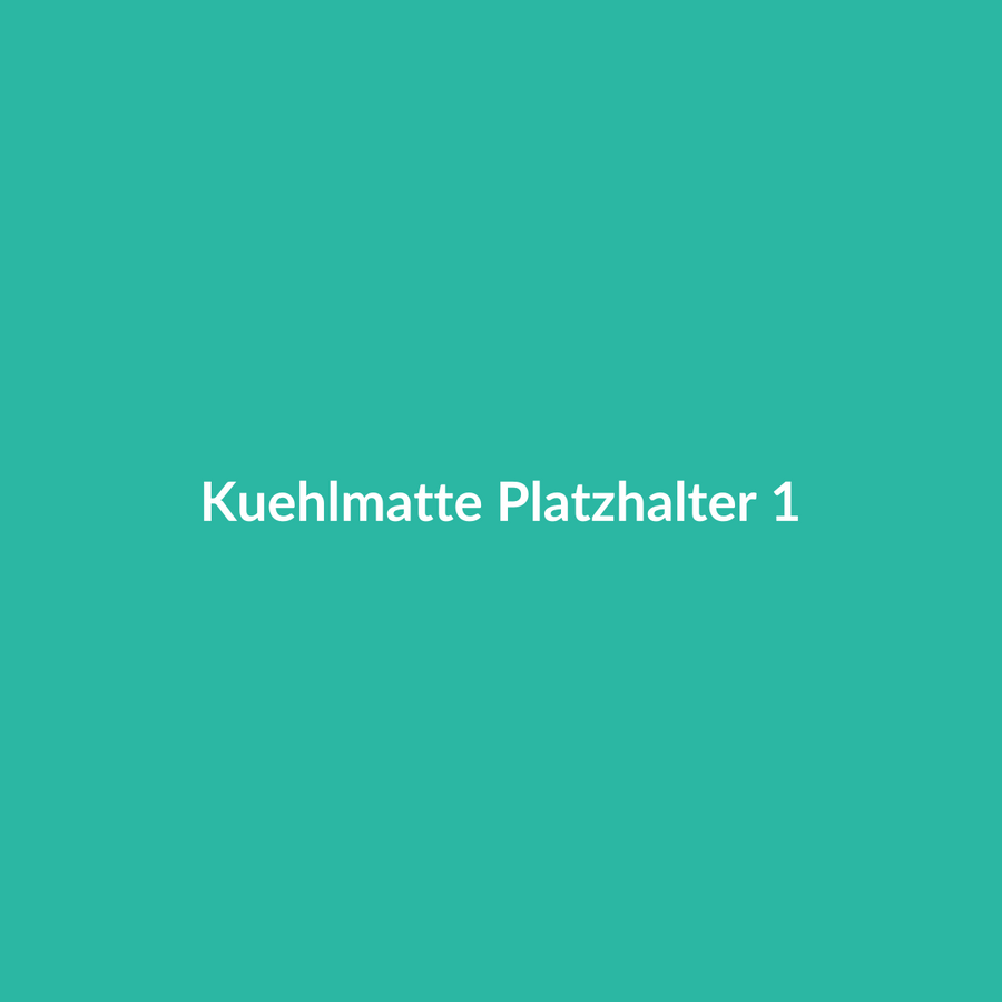 Selbstkühlende Hundematte – CoolPad